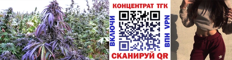 цена наркотик  Урень  Дистиллят ТГК вейп с тгк 
