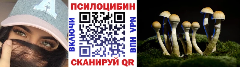 Галлюциногенные грибы мицелий  Урень 